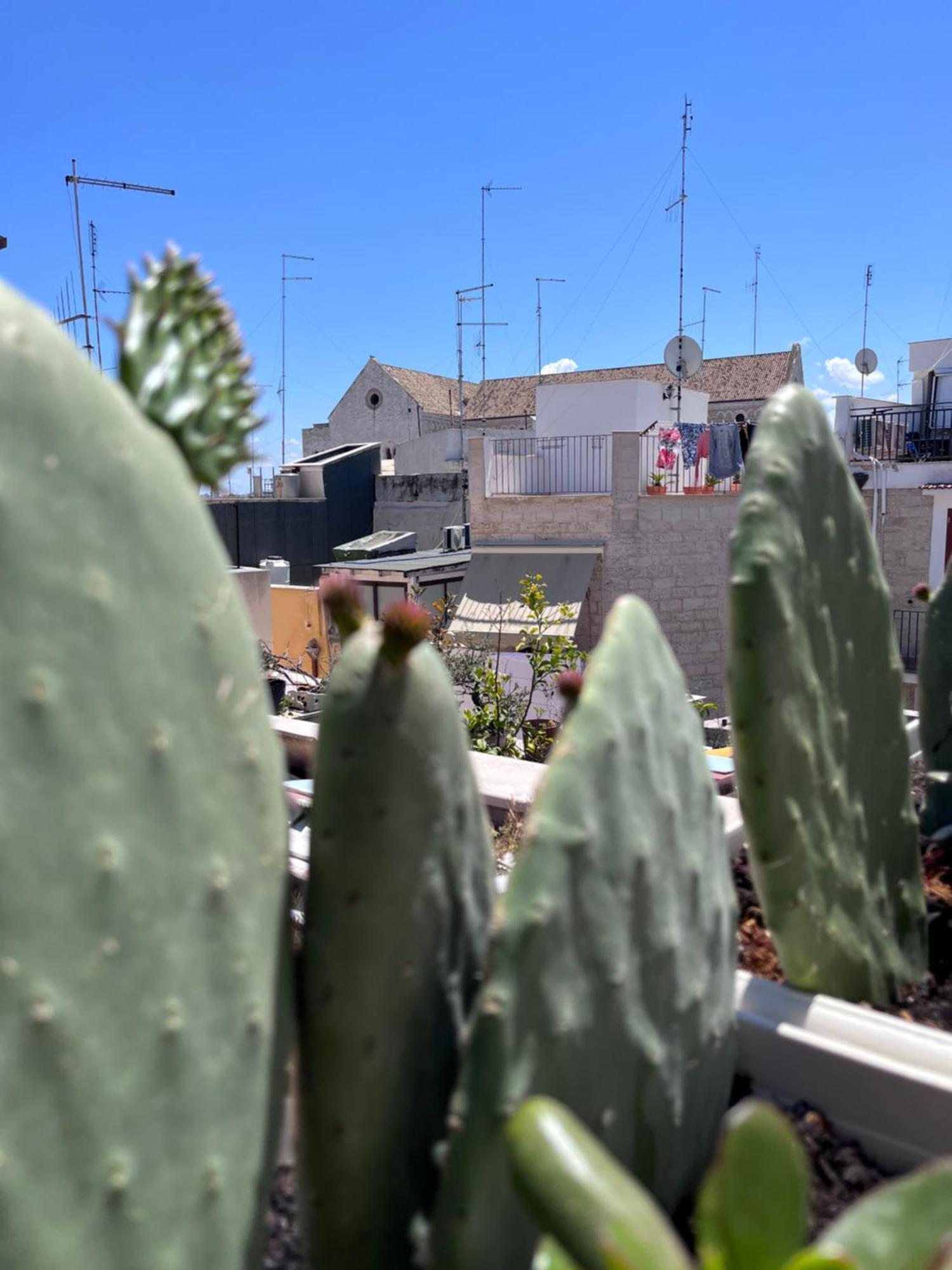 Villa Casa Franca - Terracielo a Bari Vecchia Esterno foto