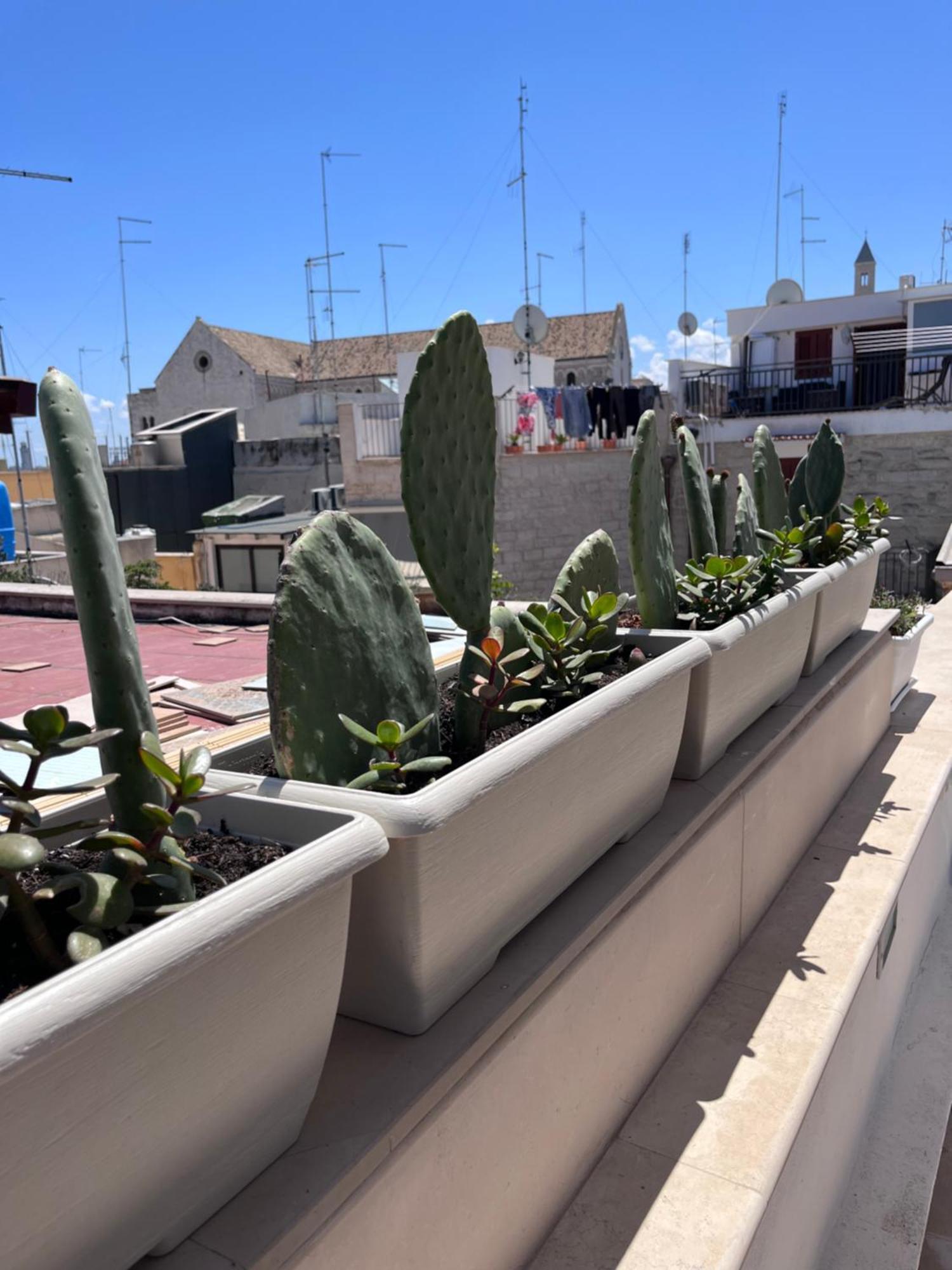 Villa Casa Franca - Terracielo a Bari Vecchia Esterno foto